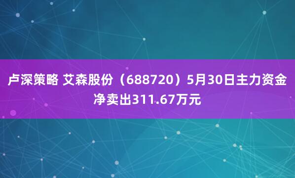 卢深策略 艾森股份（688720）5月30日主力资金净卖出311.67万元