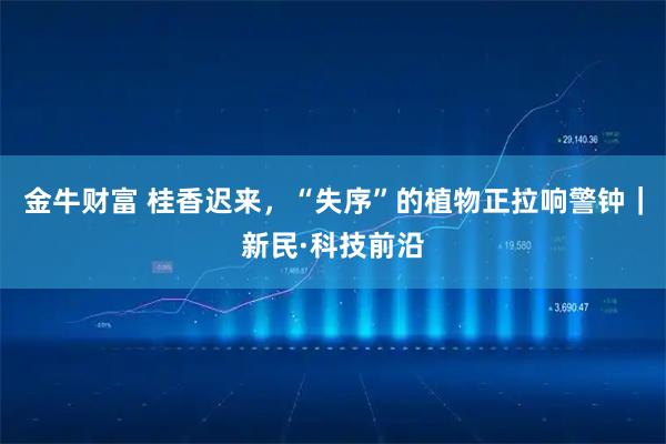 金牛财富 桂香迟来，“失序”的植物正拉响警钟｜新民·科技前沿