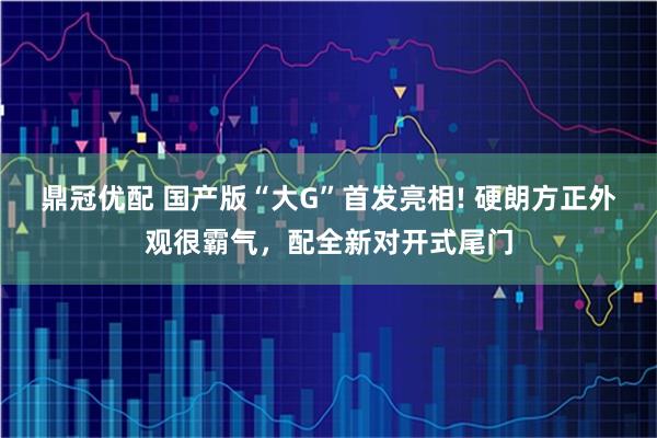 鼎冠优配 国产版“大G”首发亮相! 硬朗方正外观很霸气，配全新对开式尾门